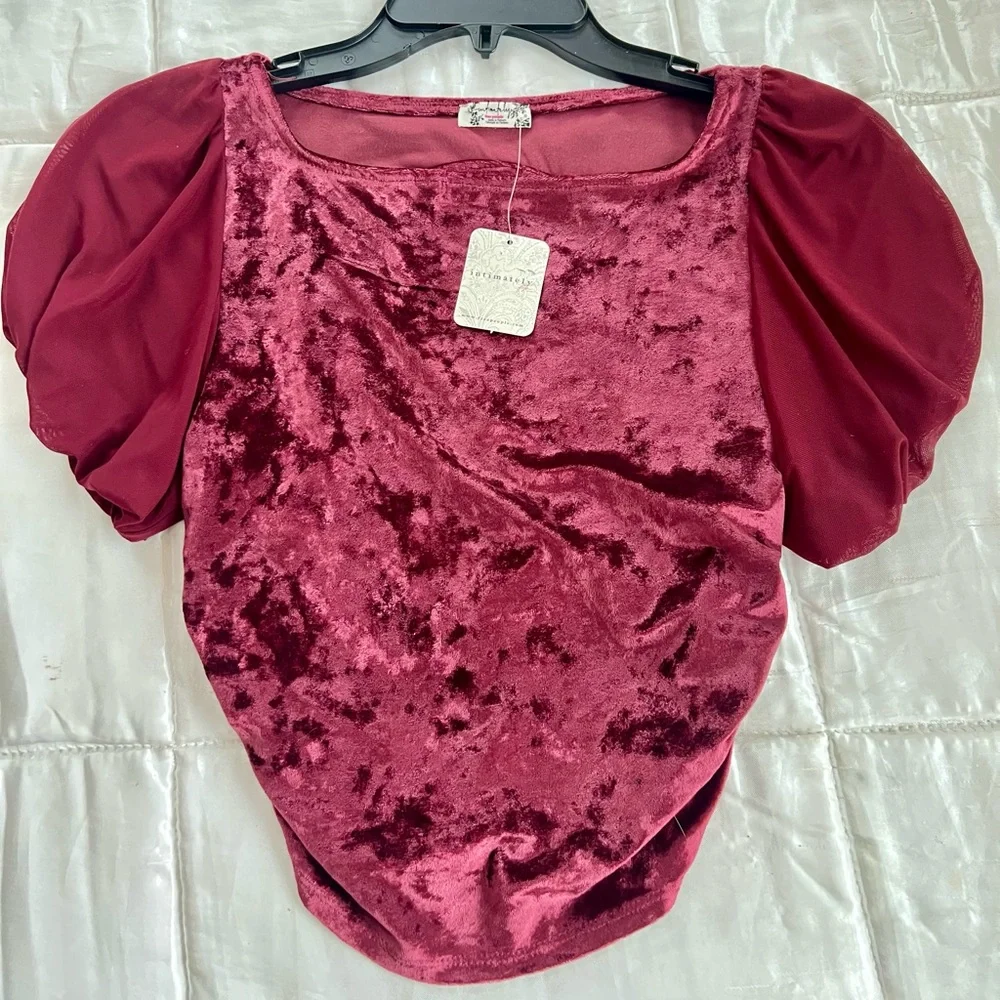 Free People Velvet Crop Top in Deep Wine